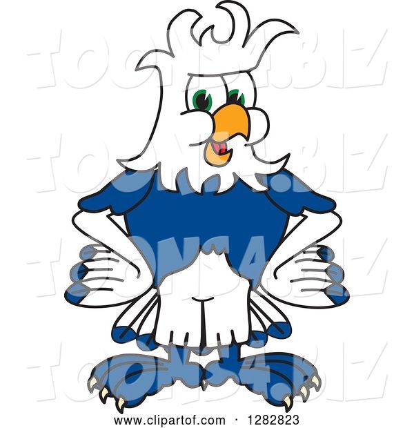 Vector Illustration of a Cartoon Seahawk Mascot with a Mohawk