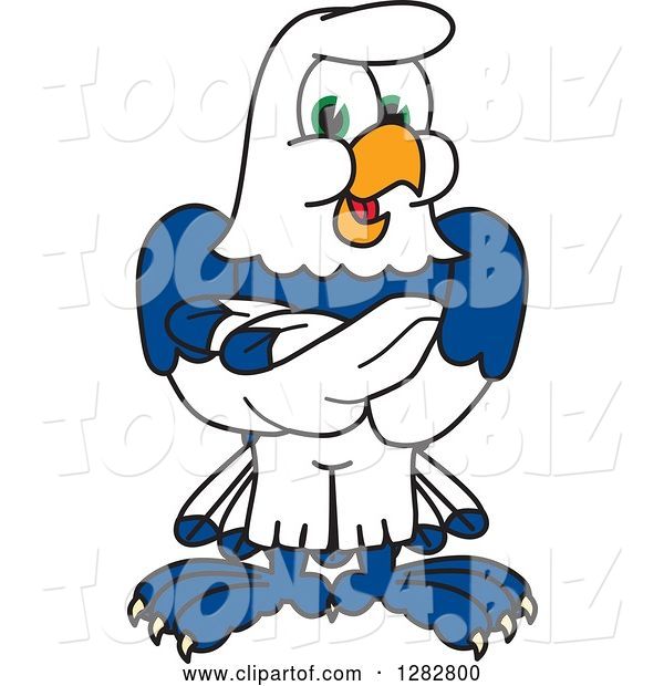 Vector Illustration of a Cartoon Seahawk Mascot with Folded Arms