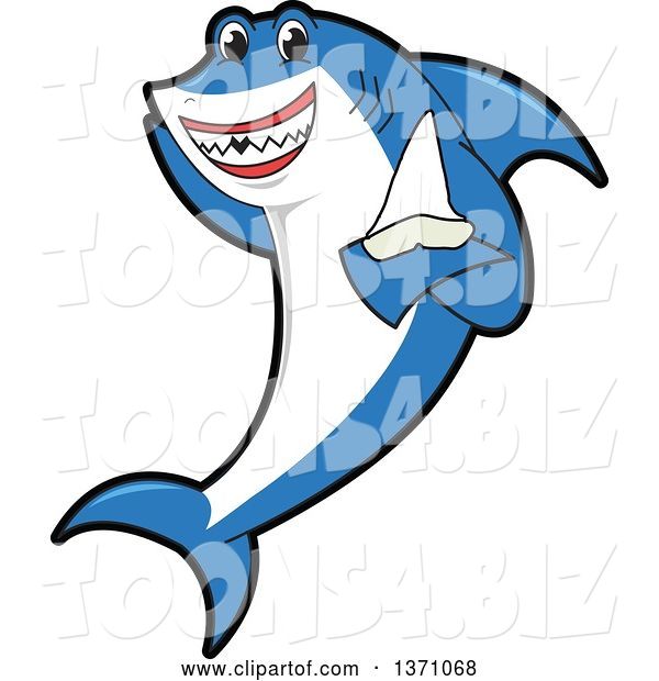 Vector Illustration of a Cartoon Shark School Mascot Holding a Tooth