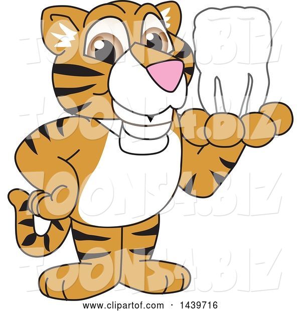 Vector Illustration of a Cartoon Tiger Cub Mascot Holding a Tooth