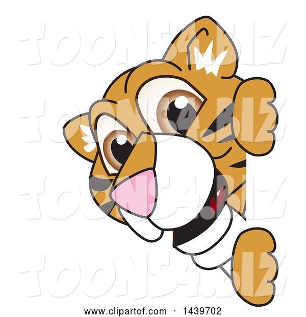Vector Illustration of a Cartoon Tiger Cub Mascot Looking Around a Sign