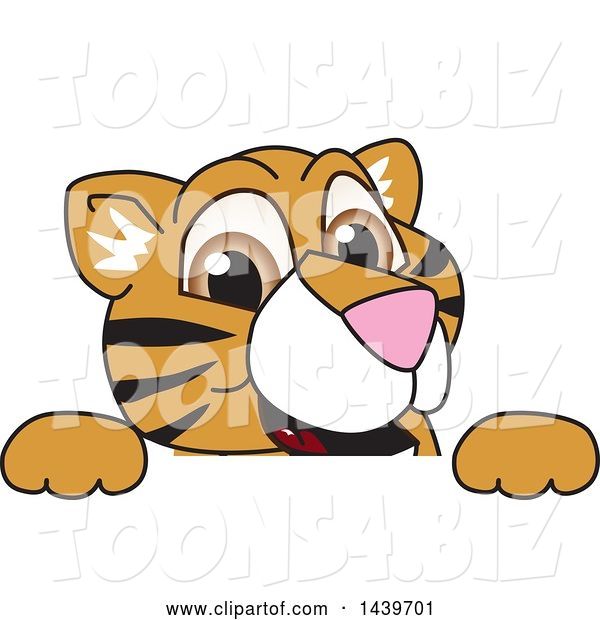 Vector Illustration of a Cartoon Tiger Cub Mascot Looking over a Sign