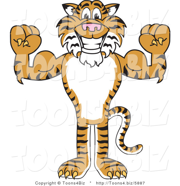 Vector Illustration of a Cartoon Tiger Mascot Flexing