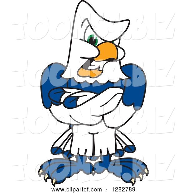 Vector Illustration of a Cartoon Tough Seahawk Mascot with Folded Arms