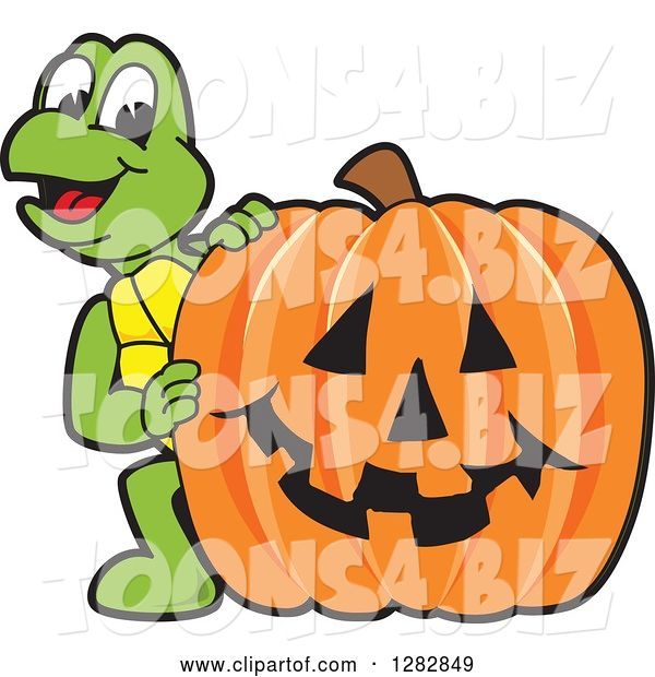 Vector Illustration of a Cartoon Turtle Mascot Looking Around a Halloween Jackolantern Pumpkin