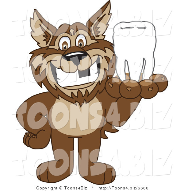 Vector Illustration of a Cartoon Wolf Mascot Holding a Tooth