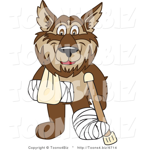 Vector Illustration of a Cartoon Wolf Mascot with a Sling, Cast and Crutch