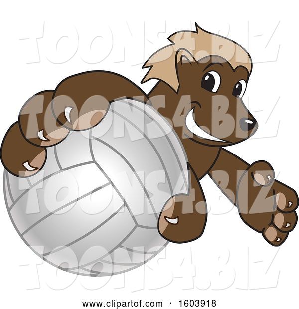 Vector Illustration of a Cartoon Wolverine Mascot Grabbing a Volleyball
