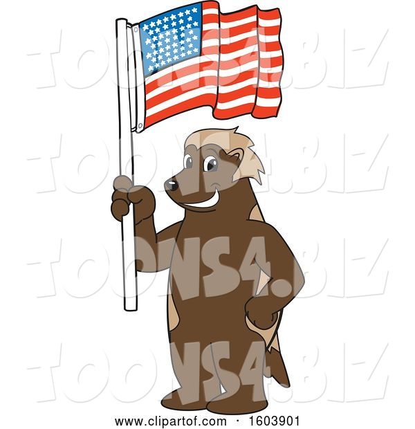 Vector Illustration of a Cartoon Wolverine Mascot Holding an American Flag
