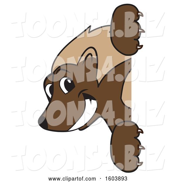Vector Illustration of a Cartoon Wolverine Mascot Looking Around a Sign