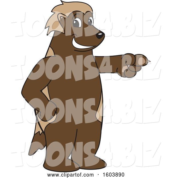 Vector Illustration of a Cartoon Wolverine Mascot Pointing
