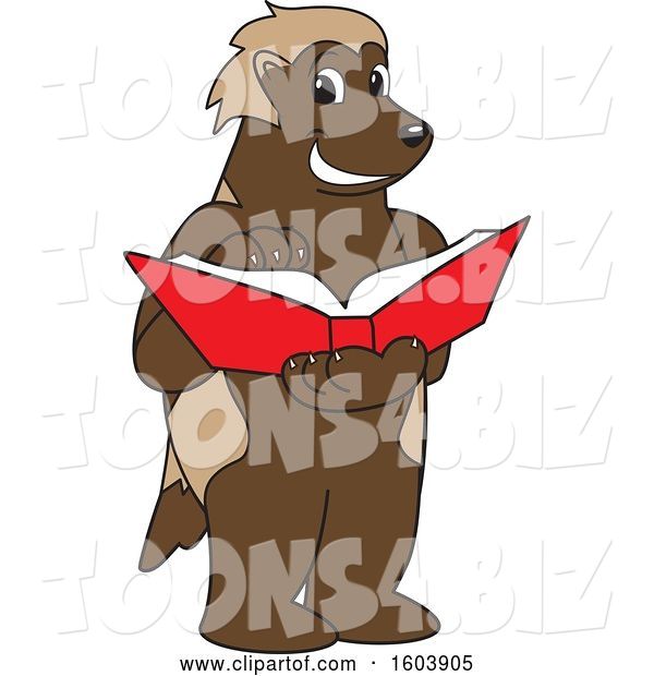 Vector Illustration of a Cartoon Wolverine Mascot Reading a Book