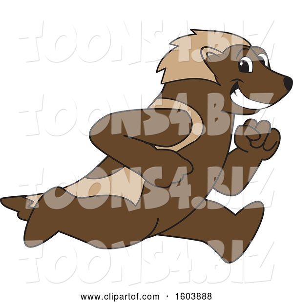 Vector Illustration of a Cartoon Wolverine Mascot Running