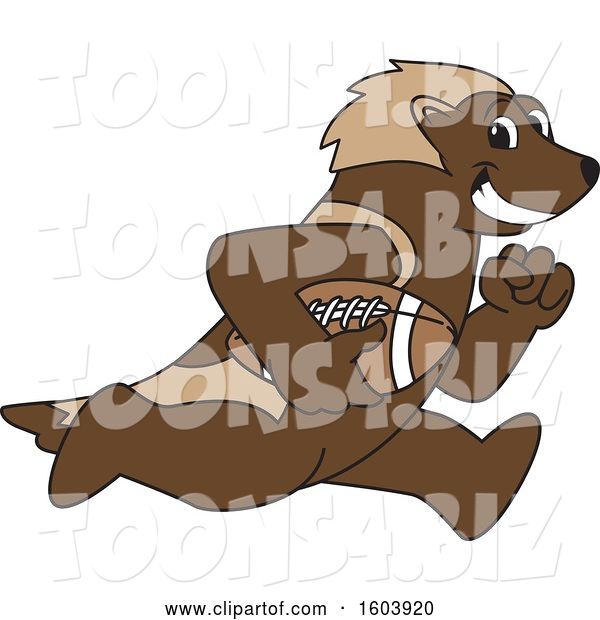 Vector Illustration of a Cartoon Wolverine Mascot Running with a Football