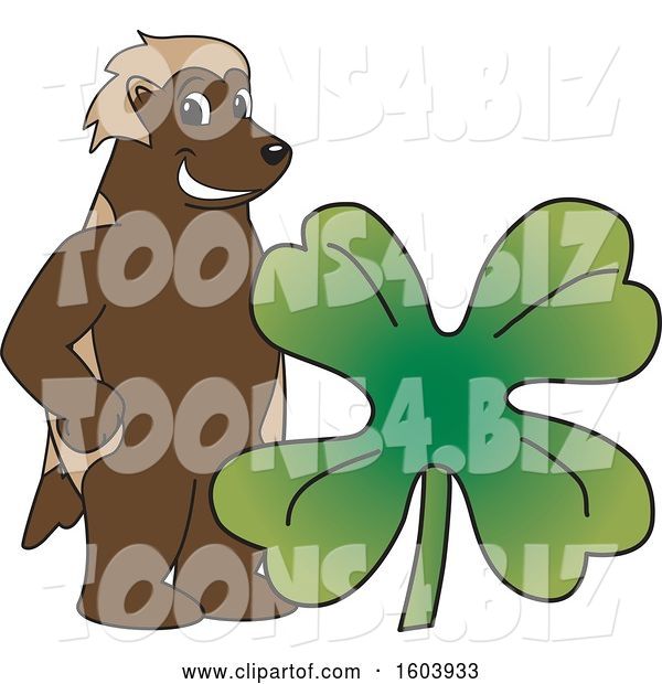 Vector Illustration of a Cartoon Wolverine Mascot with a St Patricks Day Clover