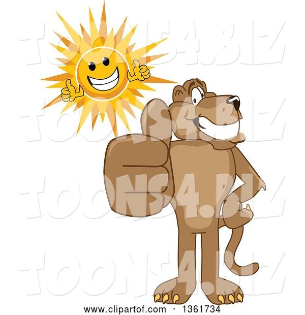 Vector Illustration of a Cougar School Mascot and Sun Holding Thumbs Up, Symbolizing Excellence