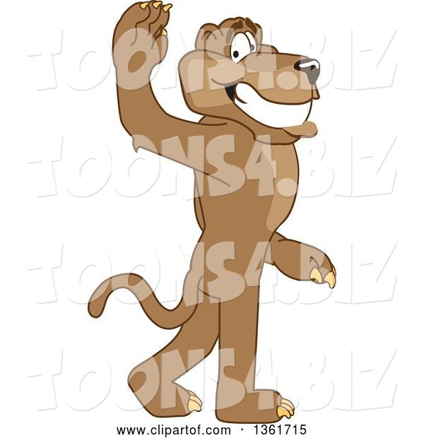 Vector Illustration of a Cougar School Mascot Gesturing for You to Follow, Symbolizing Leadership