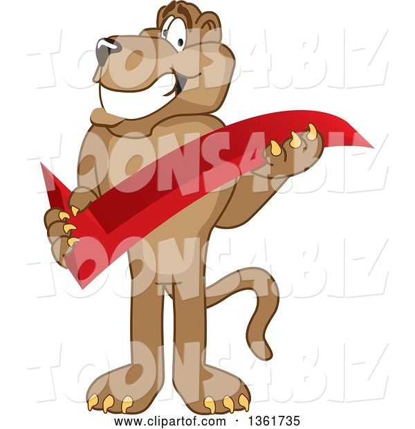 Vector Illustration of a Cougar School Mascot Holding a Check Mark, Symbolizing Acceptance