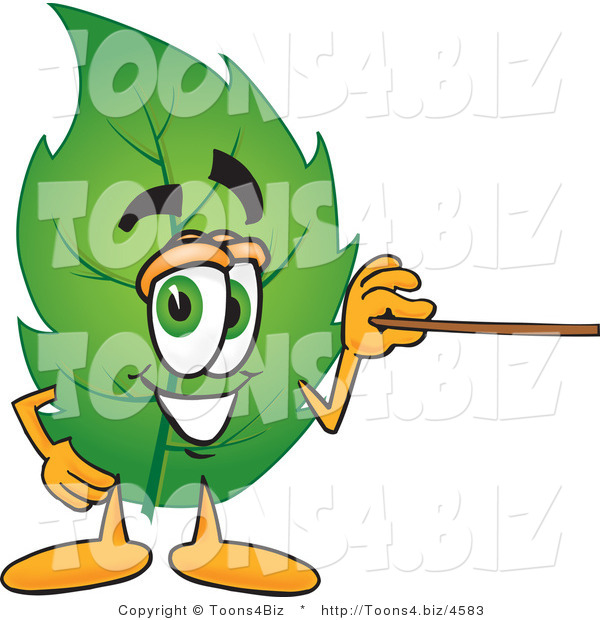 Vector Illustration of a Green Leaf Mascot Using a Pointer Stick
