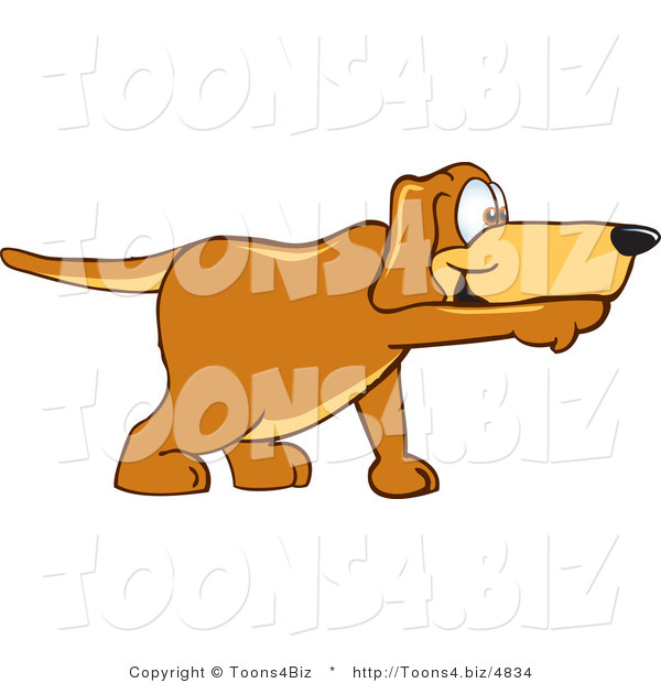 Vector Illustration of a Hound Dog Mascot Pointing While Sniffing Something out