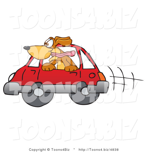 Vector Illustration of a Hound Dog Mascot Sticking His Head out of a Car Window