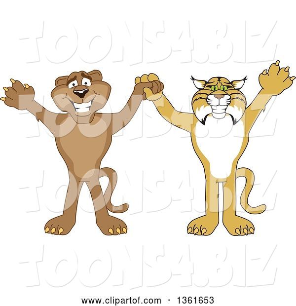Vector Illustration of Bobcat and Cougar School Mascots Holding Hands and Cheering, Symbolizing Teamwork and Sportsmanship