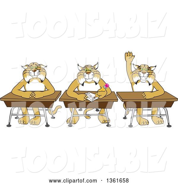 Vector Illustration of Cartoon Bobcat Mascots Sitting at Desks, One Raising His Hand, Symbolizing Respect