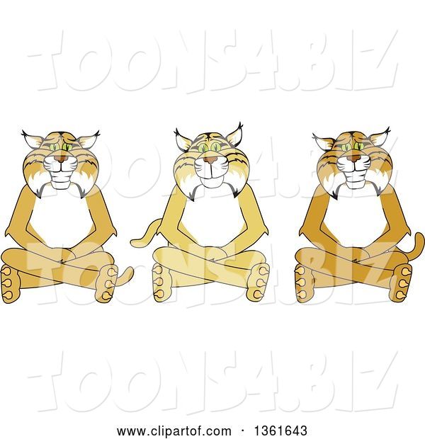 Vector Illustration of Cartoon Bobcat Mascots Sitting on the Floor, Symbolizing Respect