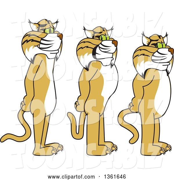 Vector Illustration of Cartoon Bobcat Mascots Standing in Line, Symbolizing Respect