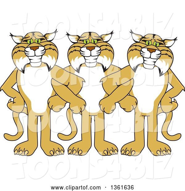 Vector Illustration of Cartoon Bobcat Mascots Standing with Linked Arms, Symbolizing Loyalty