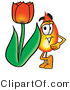 Illustration of a Cartoon Fire Droplet Mascot with a Red Tulip Flower in the Spring by Mascot Junction