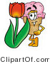 Illustration of a Cartoon Ice Cream Cone Mascot with a Red Tulip Flower in the Spring by Mascot Junction