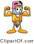 Illustration of a Cartoon Pencil Mascot Flexing His Arm Muscles by Mascot Junction