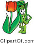 Illustration of a Cartoon Rolled Money Mascot with a Red Tulip Flower in the Spring by Mascot Junction