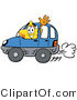 Illustration of a Cartoon Star Mascot Driving a Blue Car and Waving by Mascot Junction