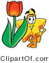 Illustration of a Cartoon Star Mascot with a Red Tulip Flower in the Spring by Mascot Junction