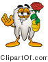 Illustration of a Cartoon Tooth Mascot Holding a Red Rose on Valentines Day by Mascot Junction