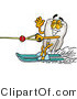 Illustration of a Cartoon Tooth Mascot Waving While Water Skiing by Mascot Junction