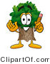 Illustration of a Cartoon Tree Mascot Holding a Pencil by Mascot Junction
