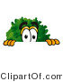 Illustration of a Cartoon Tree Mascot Peeking over a Surface by Mascot Junction