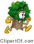 Illustration of a Cartoon Tree Mascot Running by Mascot Junction