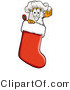 Illustration of a Chef Hat Mascot Inside a Red Christmas Stocking by Mascot Junction