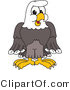 Vector Illustration of a Bald Eagle Character by Mascot Junction