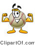 Vector Illustration of a Baseball Mascot Flexing His Arm Muscles by Mascot Junction