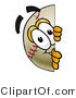 Vector Illustration of a Baseball Mascot Peeking Around a Corner by Mascot Junction