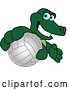 Vector Illustration of a Cartoon Alligator Mascot Grabbing a Volleyball by Mascot Junction
