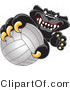 Vector Illustration of a Cartoon Black Jaguar Mascot Grabbing a Volleyball by Mascot Junction