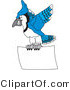 Vector Illustration of a Cartoon Blue Jay Mascot Flying with a Blank Sign by Mascot Junction
