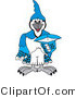 Vector Illustration of a Cartoon Blue Jay Mascot Pointing Outwards by Mascot Junction