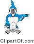 Vector Illustration of a Cartoon Blue Jay Mascot Pointing Right by Mascot Junction